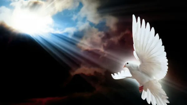 The Helper is The Creator